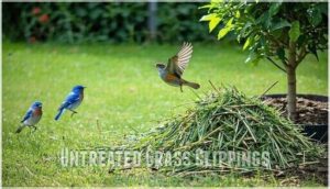 untreated grass clippings