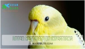 upper respiratory infections upper respiratory infections