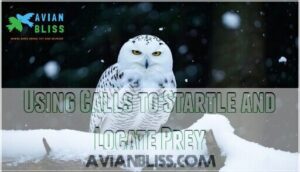 using calls to startle and locate prey