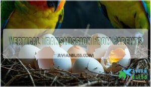 vertical transmission from parents vertical transmission from parents