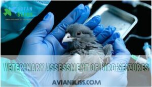 veterinary assessment of bird seizures