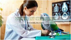 veterinary examination