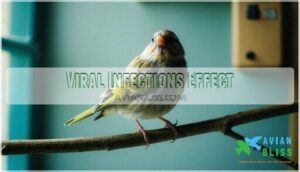 viral infections effect