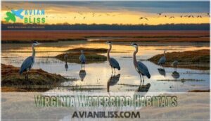 virginia waterbird habitats