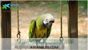 visible signs of weight loss