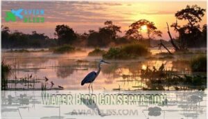 water bird conservation
