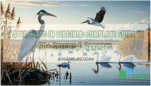 water birds in virginia