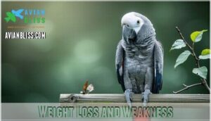 weight loss and weakness