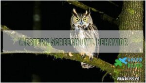 western screech owl behavior
