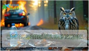western screech owl conservation