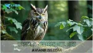 western screech owl diet