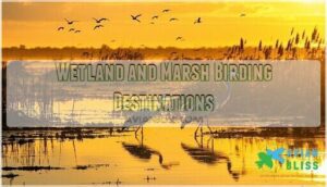 wetland and marsh birding destinations