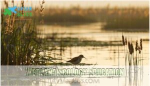 wetland ecology education