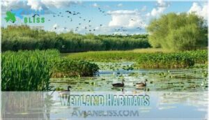 wetland habitats