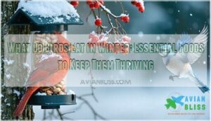 what do birds eat in winter