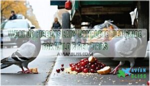 what do pigeons eat