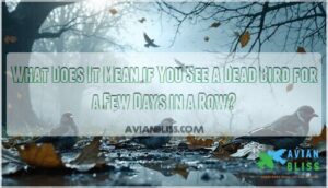what does it mean if you see a dead bird for a few days in a row
