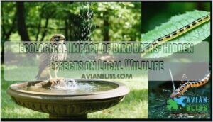 whats the ecological impact of bird baths