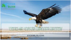 when do eagles migrate north