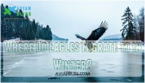 where do eagles migrate to in winter