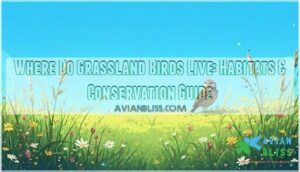 where do grassland birds live