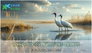 where to see whooping cranes