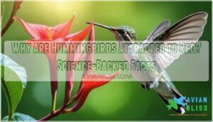 why are hummingbirds attracted to red