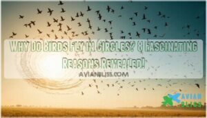 why do birds fly in circles