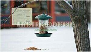 why is bird seed expensive