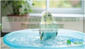 why is my bird drinking so much water