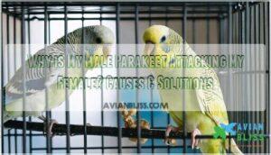 why is my male parakeet attacking my female