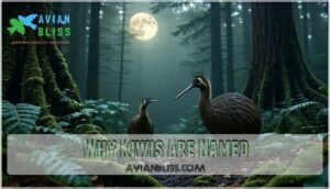 why kiwis are named