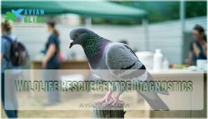 wildlife rescue centre diagnostics