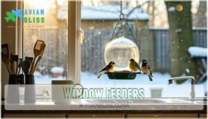 window feeders