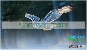 wingspan and feathers
