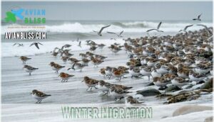 winter migration
