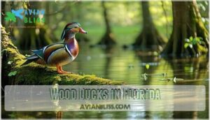 wood ducks in florida