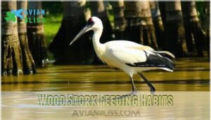wood stork feeding habits