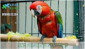 zinc poisoning symptoms