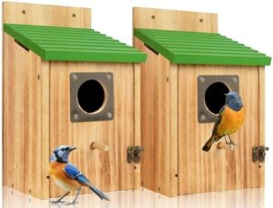 2 Pack Bird Houses for B0FHQ4LWDD