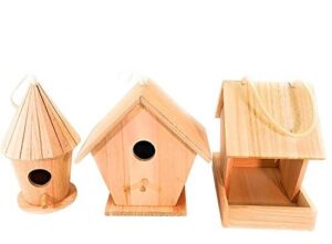 3 Piece DIY Birdhouse Set with B07SR66VJP