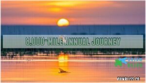 8,000-mile annual journey