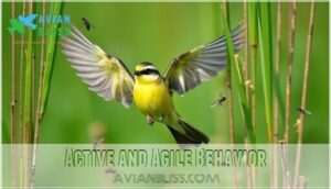 active and agile behavior