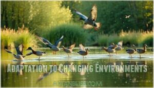 adaptation to changing environments