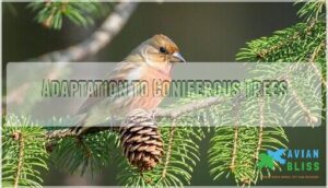 adaptation to coniferous trees