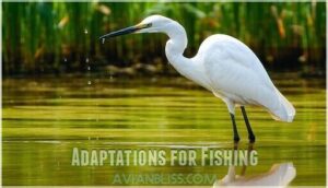 adaptations for fishing