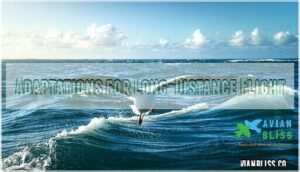 adaptations for long-distance flight