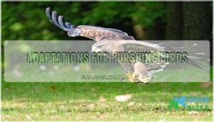 adaptations for pursuing birds