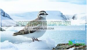 adaptations to arctic life