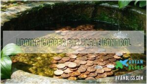 adding copper for algae control